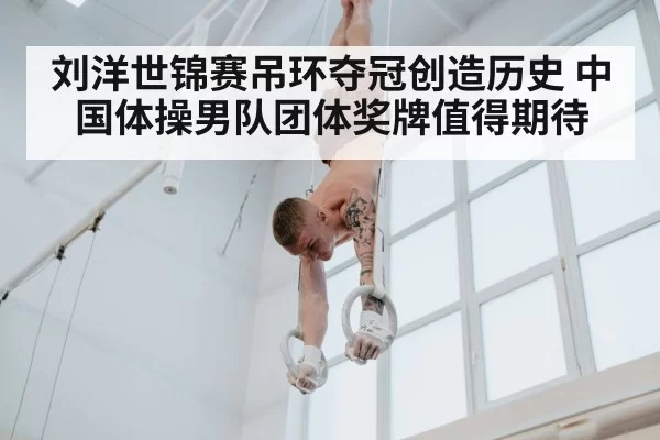 刘洋世锦赛吊环夺冠创造历史 中国体操男队团体奖牌值得期待